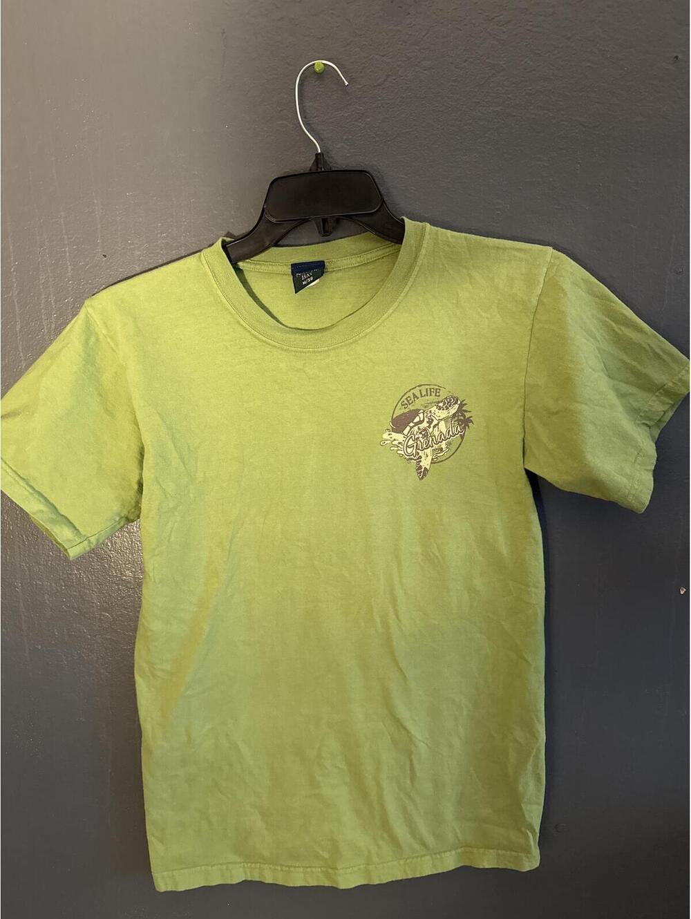 Nautic Bay Men's Green Graphic Turtle Travel T-Shirt - Medium